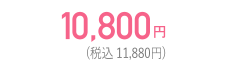 9,800円（税込10,780円）