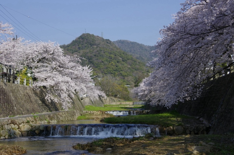 心も体も美しくなれる！　芦屋を歩くお散歩時間3