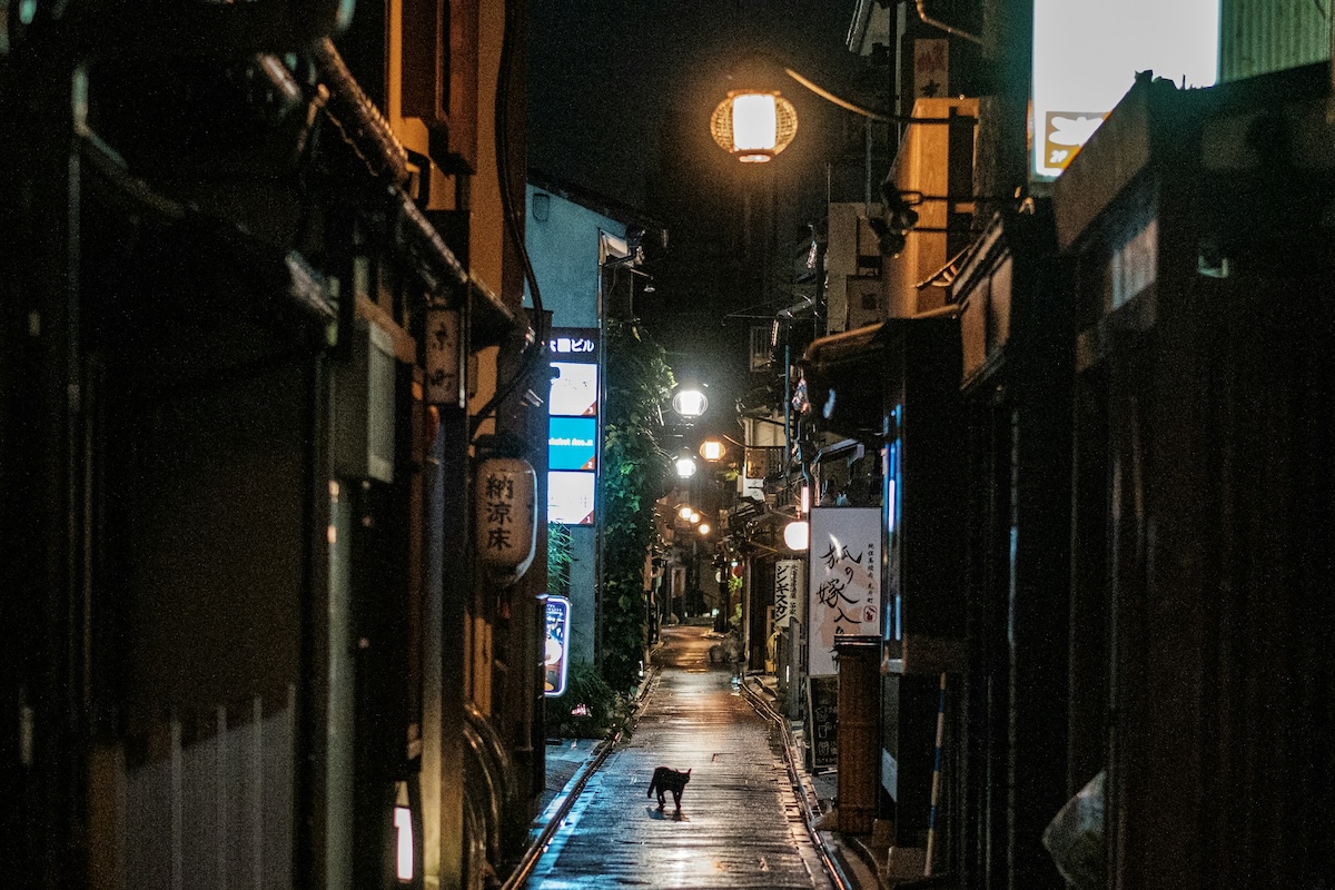 京都は夜も美しい　四条河原町で楽しむ大人の夜散歩4